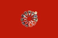 枣庄山亭回收红酒